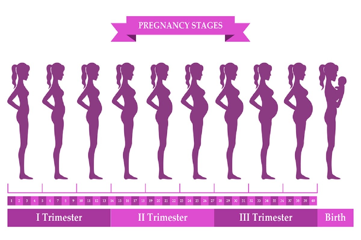 How Your Body Changes During Pregnancy Style N Fitness